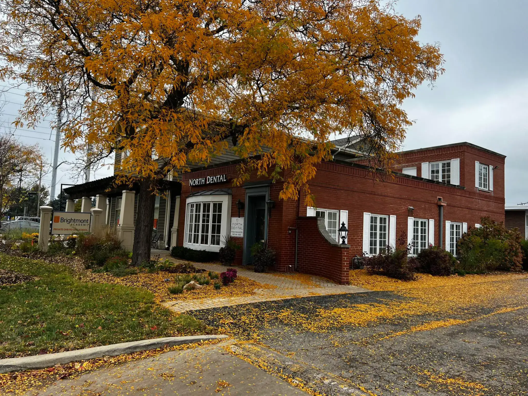 The North Dental office building under a golden autumn tree